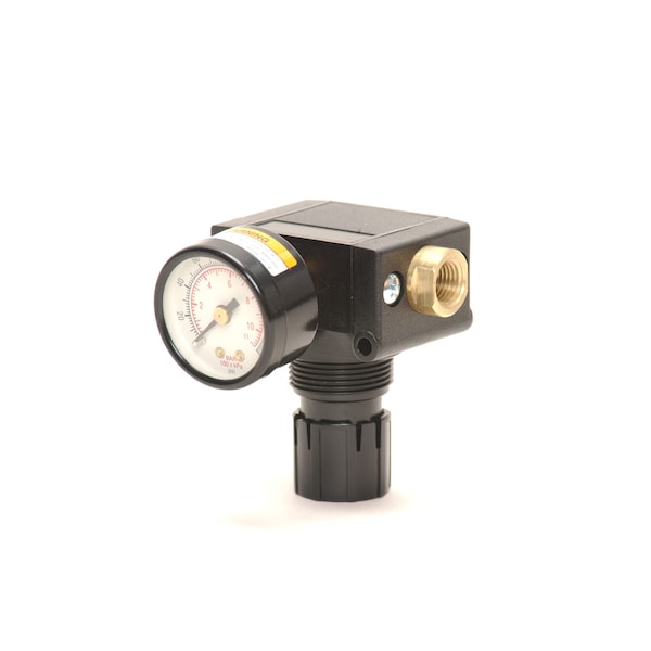 REGULATOR PISTON